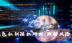 : 比特币钱包私钥随机对撞：理解风险与防护措施