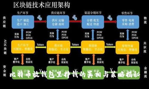 比特币放钱包里挣钱的真相与策略揭秘
