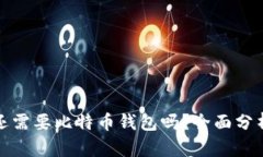 火币网还需要比特币钱包吗？全面分析与解读