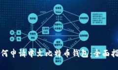 如何申请中文比特币钱包：全面指南