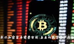 新兴加密货币前景分析：未来的数字资产趋势