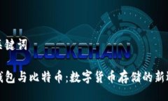 与关键词云钱包与比特币：数字货币存储的新选
