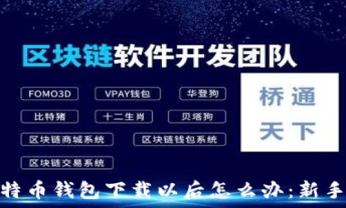 : 比特币钱包下载以后怎么办:新手指南