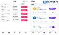 比特币钱包大小：如何选择合适的钱包并管理存