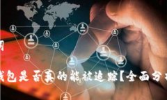 和关键词比特币钱包是否真的能被追踪？全面分