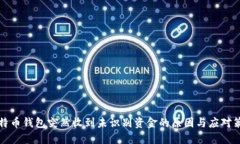 比特币钱包突然收到未识别资金的原因与应对策