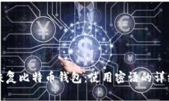 如何恢复比特币钱包：使用密语的详细指南
