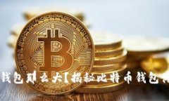 为什么比特币钱包那么大？揭秘比特币钱包体量