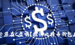 比特币钱包下载必须在C盘吗？探讨比特币钱包存