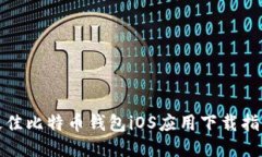 最佳比特币钱包iOS应用下载指南
