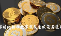 全面解析比特币数字钱包主板及其使用指南
