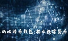 终于看到了真的比特币钱包：揭示数字货币的安