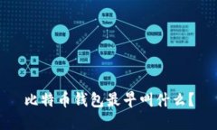 比特币钱包最早叫什么？