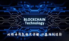 比特币钱包格式详解：从基础到进阶