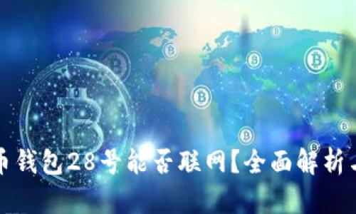 比特币钱包28号能否联网?全面解析与解答