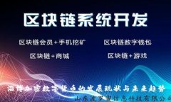 淄博加密数字货币的发展现状与未来趋势