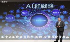 加拿大加密货币钱包：选择、使用及安全指南