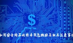 如何安全购买比特币钱包地址与相关注意事项