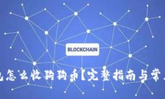 比特派钱包怎么收狗狗币？完整指南与常见问题