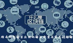 比特币钱包安装出错的解决方案与常见问题解析