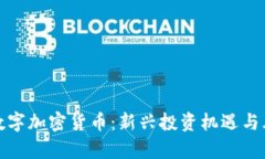: 普尔数字加密货币：新兴投资机遇与风险解析