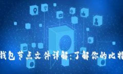 比特币钱包节点文件详解：了解你的比特币存储