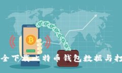 如何安全下载比特币钱包数据与打包指南
