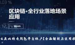 什么是比特币钱包平台账户？全面解析与使用指