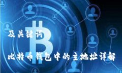 及关键词比特币钱包中的主地址详解