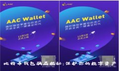 比特币钱包骗局揭秘：保护你的数字资产