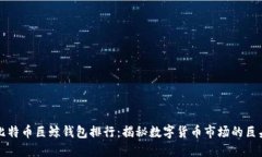 比特币巨鲸钱包排行：揭秘数字货币市场的巨头