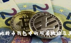 如何查看比特币钱包中的所有地址及其使用方法
