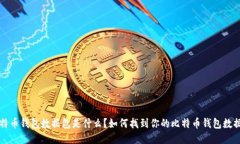 比特币钱包数据包是什么？如何找到你的比特币