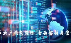 比特币大户钱包转账：全面解析与案例分析
