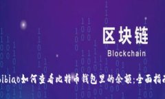 bibiao如何查看比特币钱包里的余额：全面指南