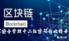 如何安全管理十二组密码的比特币钱包