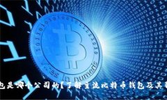 比特币钱包是哪个公司的？了解主流比特币钱包