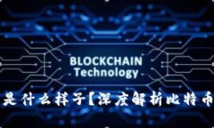 钱包里比特币是什么样子？深度解析比特币及其