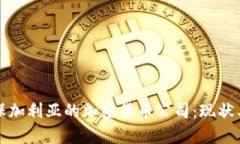 探索保加利亚的加密货币公司：现状与未来