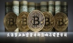 立法禁止加密货币的影响与前景分析