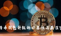比特币钱包升级的必要性与最佳实践
