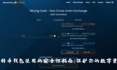比特币钱包使用的安全性指南：保护你的数字资