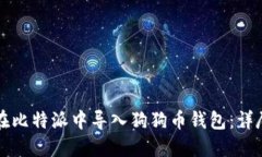 如何在比特派中导入狗狗币钱包：详尽指南