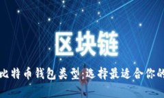 全面解析比特币钱包类型：选择最适合你的存储