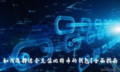 如何选择适合充值比特币的钱包？全面指南