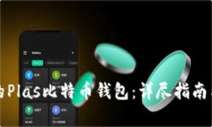 如何选择合适的Plas比特币钱包：详尽指南与常见