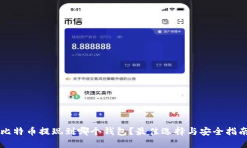 比特币提现到哪个钱包?最佳选择与安全指南