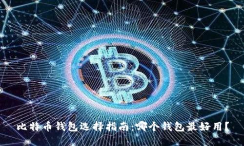 比特币钱包选择指南：哪个钱包最好用？
