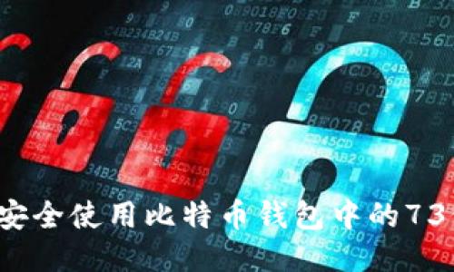 如何安全使用比特币钱包中的73位码?