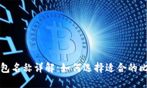 比特币钱包名称详解:如何选择适合的比特币钱包